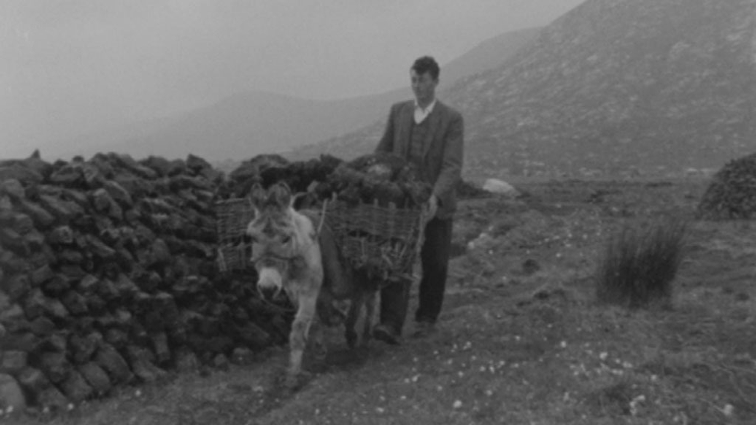 RTÉ Archives | Health | Mental Health In The West Of Ireland