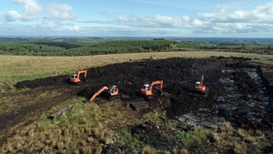 The dig site at bogland in Co Monaghan, where investigators are searching for the remains of teenager Columba McVeigh