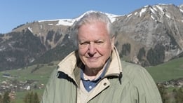 The Making of Planet Earth II