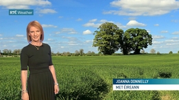 Six One Weather