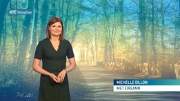 Six One Weather