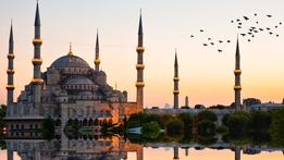 Wild Istanbul