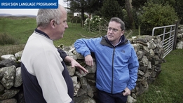 Brexit: Farming On The Edge