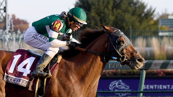 Joel Rosario rides Accelerate to victory in the Breeders' Cup Classic