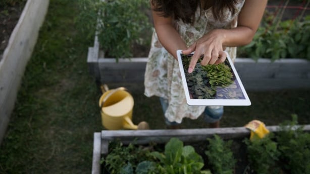 SmartPlant helps you identify and maintain plants (SmartPlant/PA)