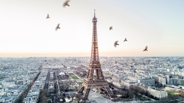 Paris: A Wild Story