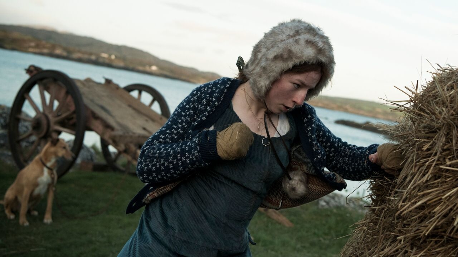 Cork Film Festival preview a feast of cinema