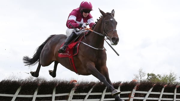 Apple's Jade disappointed at Cheltenham