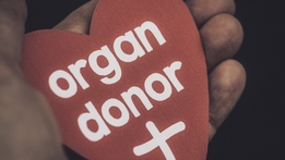 Body Donors - Life after Death