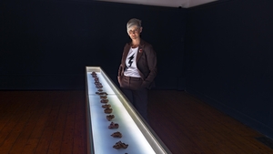 Alice Maher, at the Crawford Gallery, Cork. Pic: Michael McSweeny Alice Maher, at the Crawford Gallery, Cork. Pic: Michael McSweeny