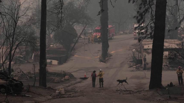 The most recent fire last November killed at least 86 people in the deadliest and most destructive blaze in California history