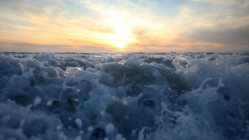 Recent warm weather has caused a marine heatwave