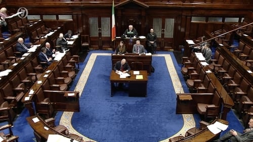 The debate was the last opportunity for TDs to make amendments to the legislation
