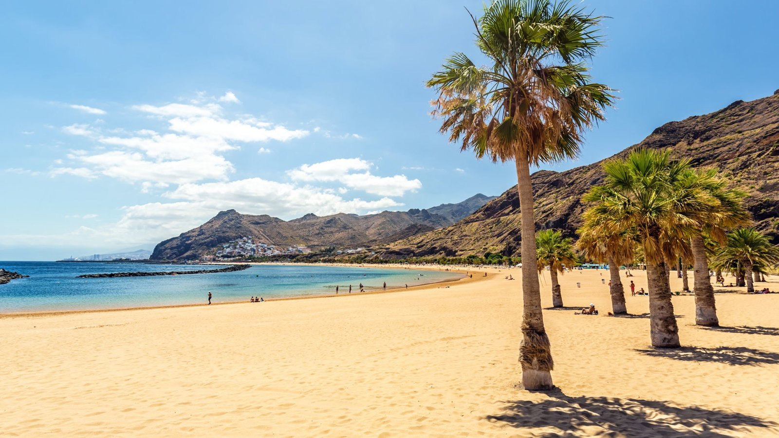 Heading to the Canary Islands? Here's the top 9 things to do