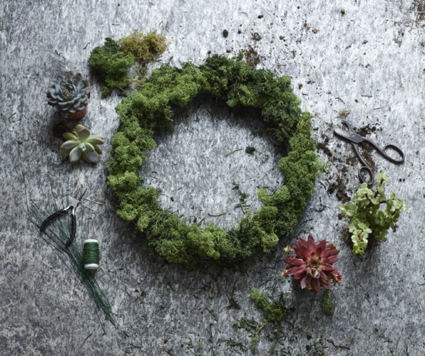 Cover the oasis in moss (Dobbies Garden CentresPA)