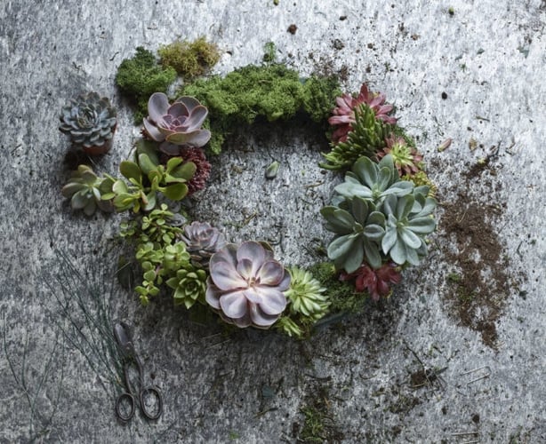 Use florists wire and pins to keep your plants in place (Dobbies Garden CentresPA)