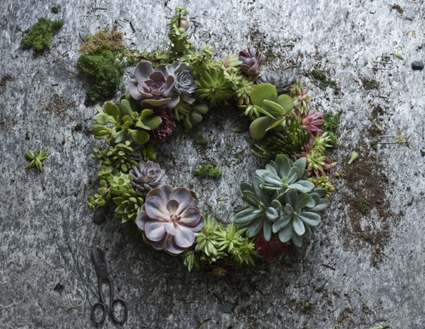 Fill gaps with extra plants or cones (Dobbies Garden Centres/PA)