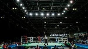Sarah Keane: '"Boxing is a big event at the Games, not just for us but for other nations'