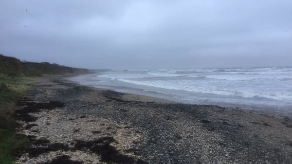The body of the baby girl was discovered on Bell's Beach in Balbriggan