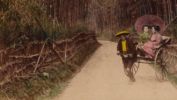 Bamboo Avenue, Kyoto, Japan, 1896, the year in which Kenji Miyazawa was born. His stories explore the rural scene through a veiled sensibility.