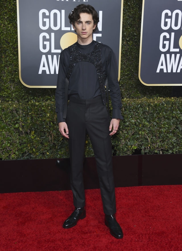 Timothee Chalamet arrives at the 76th annual Golden Globe Awards (Jordan Strauss/AP)
