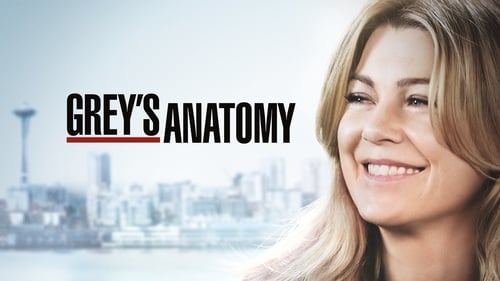 What's in store for Meredith Grey on Season 17 of Grey's Anatomy