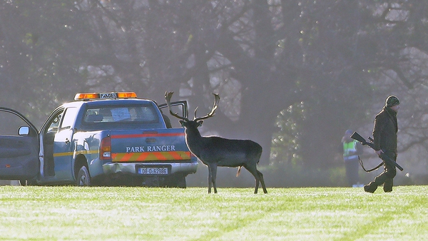 The OPW says that the deer cull was carried out as part of the 'sustainable management' of wild deer in Phoenix Park
