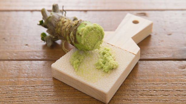 Japanese spice wasabi