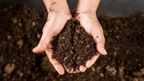 Soil is a complex matrix, and its chemical composition often depends on the location in the landscape, the parent material underneath and the influence of the management above.