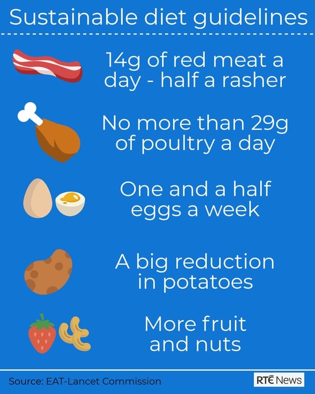 Human diet causing 'catastrophic' damage - Lancet