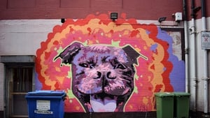 Hank the Dog painted in September 2016 in Belfast by Verz. Photo: Omar El Masri