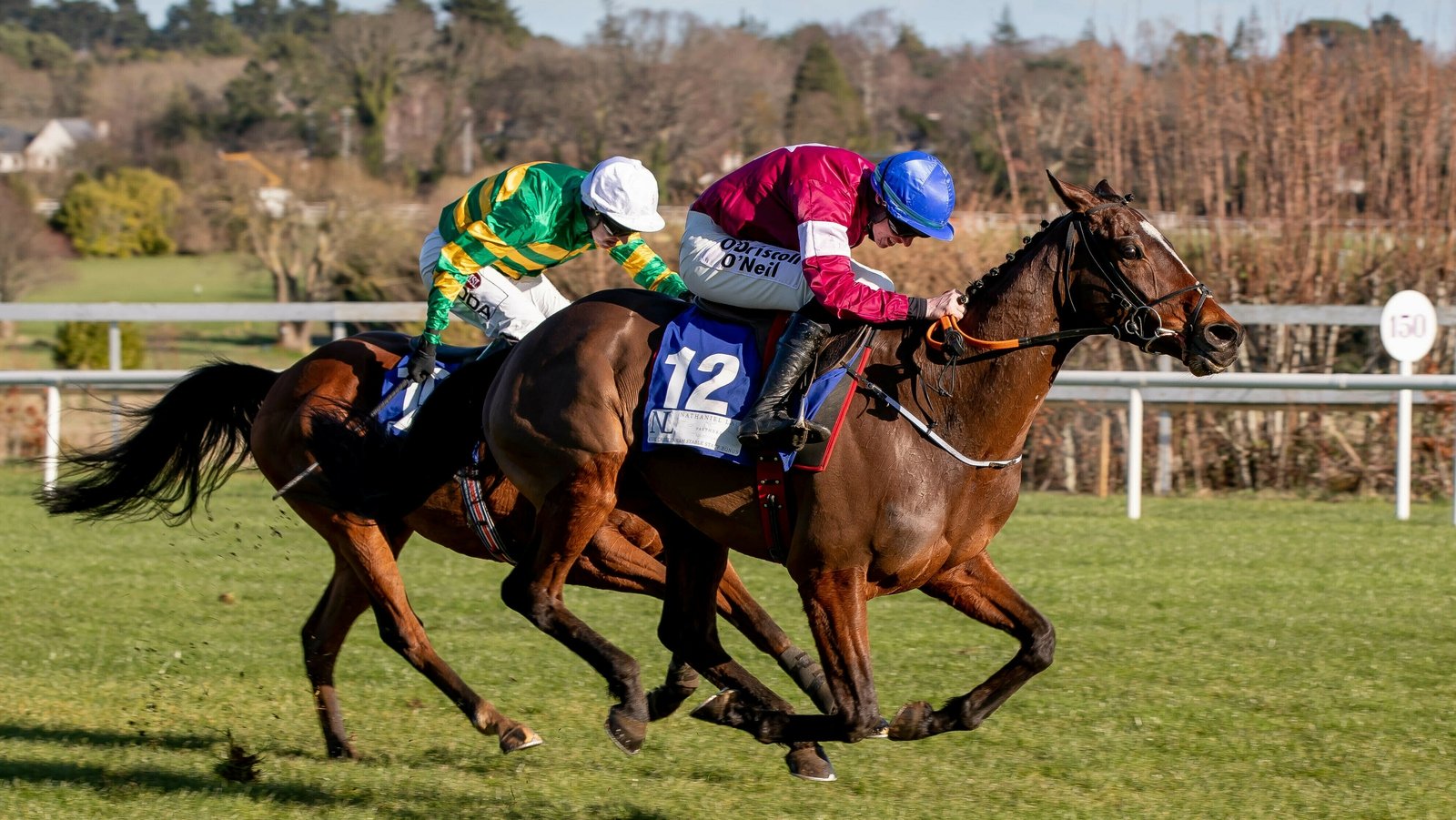 Dublin Racing Festival to go ahead at Leopardstown