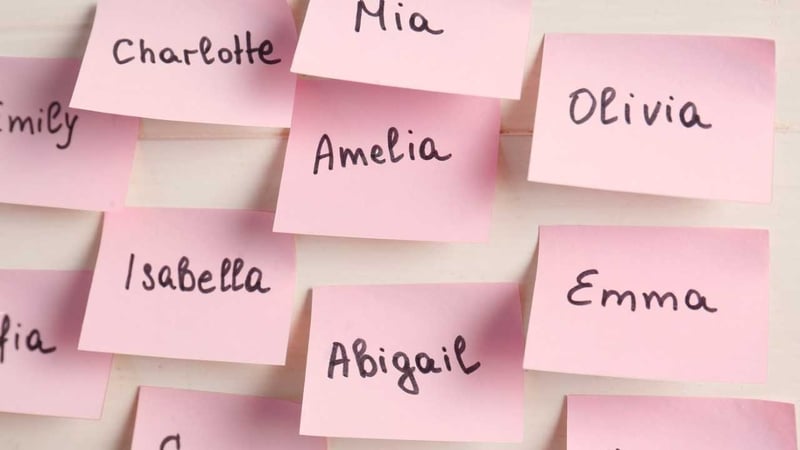 The top baby names of the last twelve months