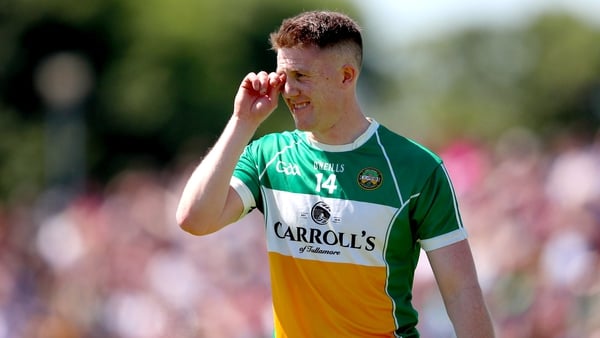 Offaly's Nigel Dunne said he left the panel because of an 'uncomfortable environment'