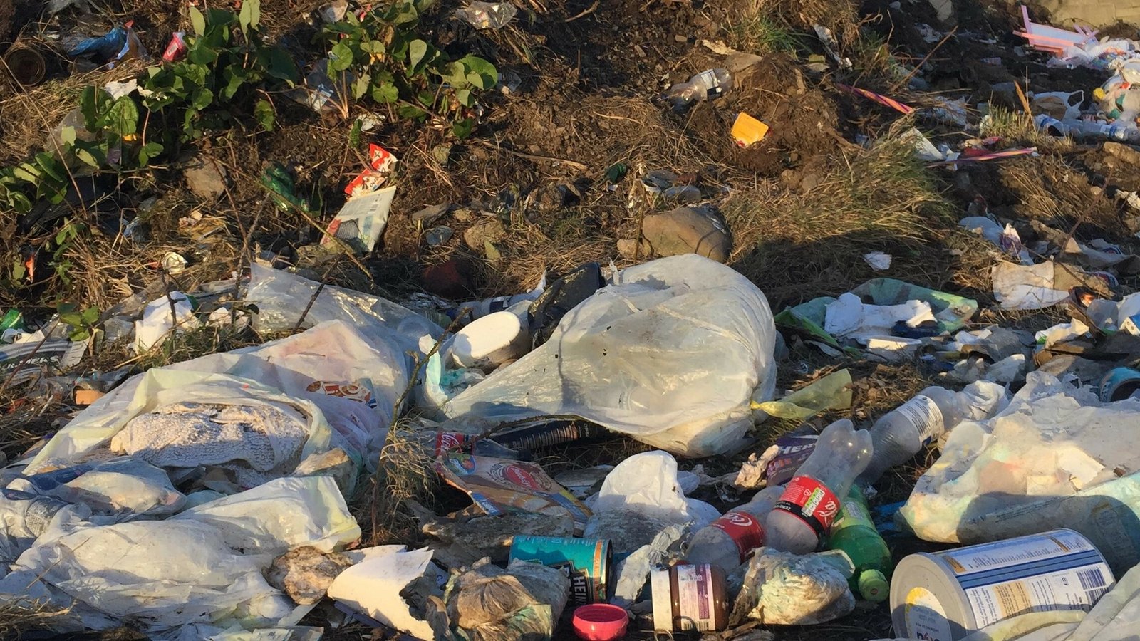 Dublin residents call for action over illegal dump