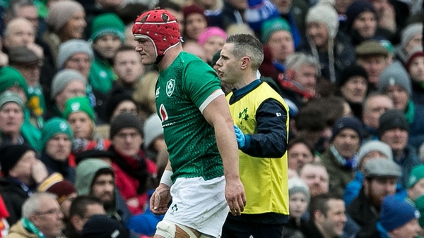 Josh van der Flier was injured against France