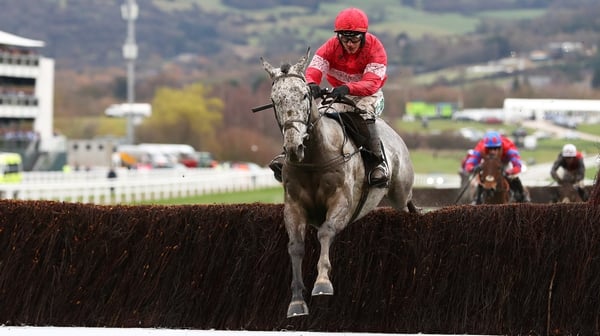 Duc Des Genievres is in the frame for the Ryanair Novice Chase
