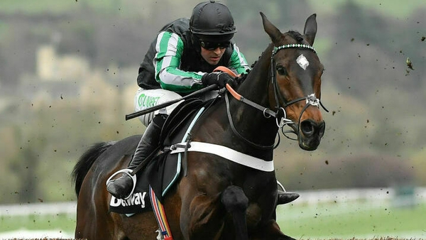 Nico de Boinville piloted Altior to his ninth Grade One victory at Cheltenham in March