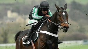 Altior is out of the Champion Chase