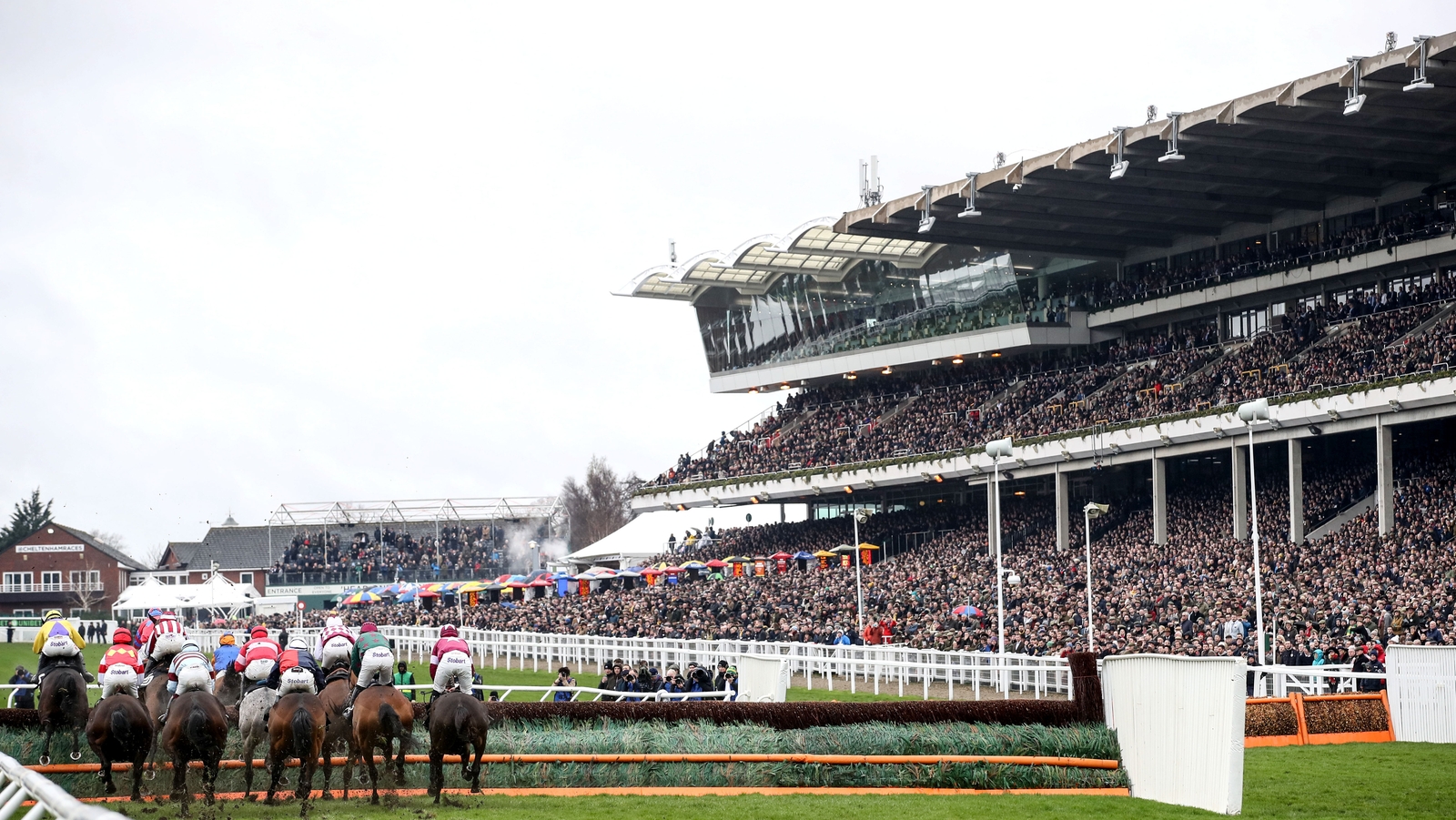 cheltenham-day-3-results-and-reports