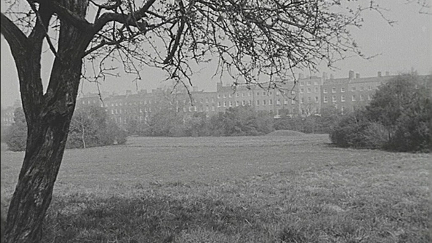 RTÉ Archives Environment Merrion Square Park
