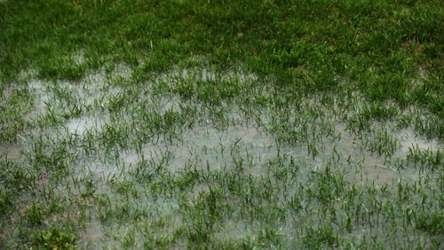 Cusack Park has been deemed unplayable ahead of the visit of Meath for the Division 2 football clash