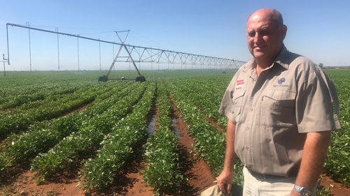 RÃ©sultat de recherche d'images pour "south africa, new farmers"