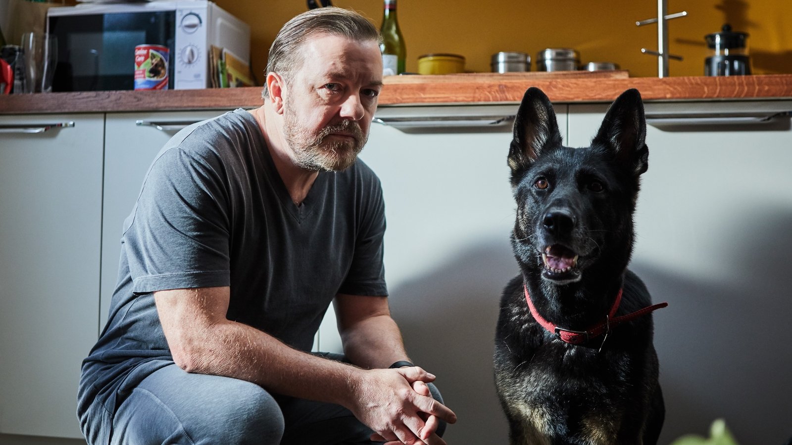 Ricky Gervais Mourns Death of ‘After Life’ Dog Brandy