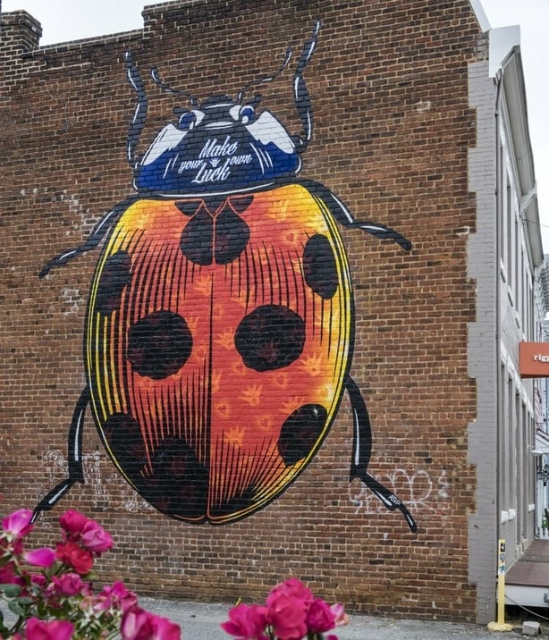 A wall mural of a Ladybird in Virginia, Richmond. Photo credit; Jeffrey Greenberg/Getty Images