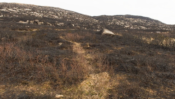 Firefighters Battle Gorse Fire In Killarney