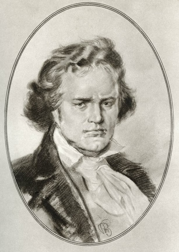 Ludwig van Beethoven holds a hidden link to the Yellowhammer bird. Photo credit: Gordon Ross Illustration/Getty Images.