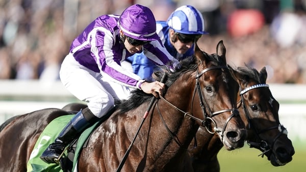 The star of O'Brien's juvenile crop last season was Ten Sovereigns, who won each of his three starts - completing his hat-trick with a narrow verdict in the Middle Park Stakes at Newmarket