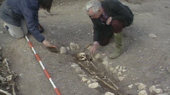 Greenhills dig, County Kildare (1989)