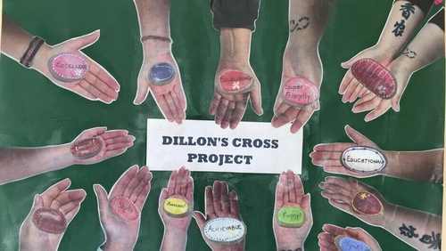 The Dillon's Cross Project is based at the Glen Resource Centre in Mayfield on Cork's northside